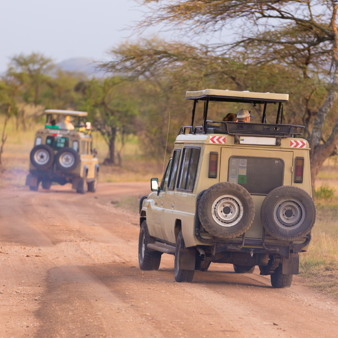 SAFARI PACKAGE